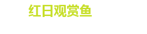 长沙市观赏鱼养殖|长沙锦鲤养殖|长沙市望城区红日观赏鱼养殖基地