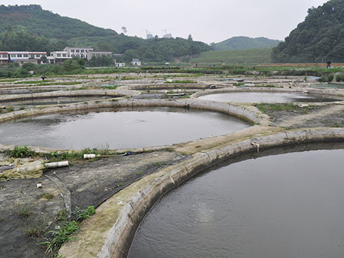 基础五