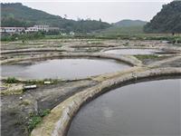 基础五