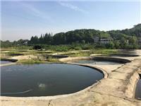 基地八